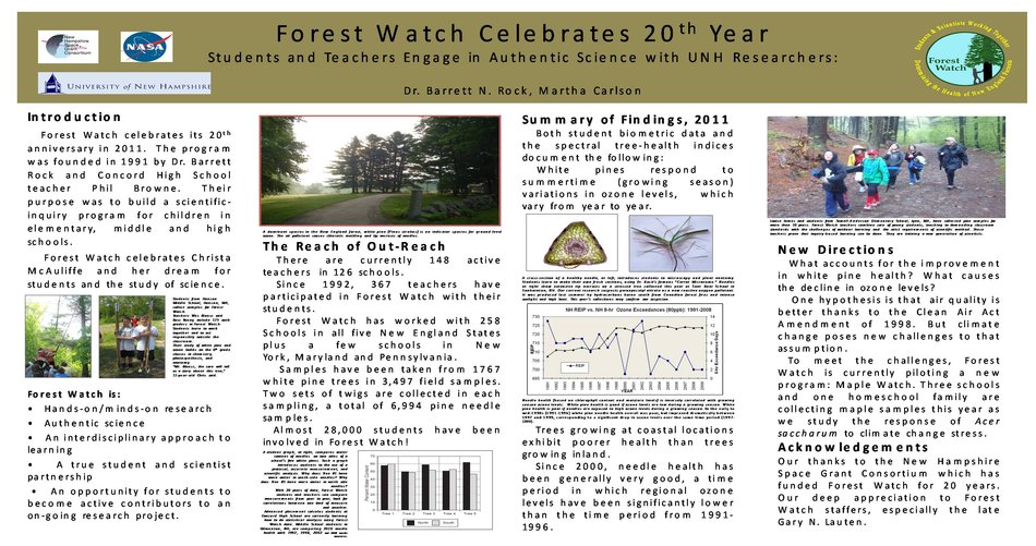 Forest Watch Celebrates 20th Year by mrg39